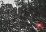 Image of United States Marines Peleliu Palau Islands, 1944, second 50 stock footage video 65675022956