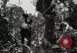 Image of United States Marines Peleliu Palau Islands, 1944, second 51 stock footage video 65675022956