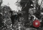 Image of United States Marines Peleliu Palau Islands, 1944, second 52 stock footage video 65675022956