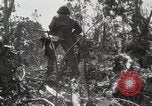 Image of United States Marines Peleliu Palau Islands, 1944, second 55 stock footage video 65675022956