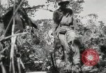 Image of United States Marines Peleliu Palau Islands, 1944, second 58 stock footage video 65675022956