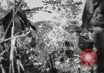 Image of United States Marines Peleliu Palau Islands, 1944, second 60 stock footage video 65675022956