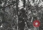 Image of United States Marines Peleliu Palau Islands, 1944, second 61 stock footage video 65675022956