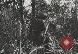 Image of United States Marines Peleliu Palau Islands, 1944, second 62 stock footage video 65675022956