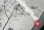 Standbild Vereinigten Staaten Marines Peleliu Palau Inseln, 1944, aus Sekunde 27 historischem Filmmaterial Videoclip 65675022957
