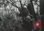 Standbild Vereinigten Staaten Marines Peleliu Palau Inseln, 1944, aus Sekunde 49 historischem Filmmaterial Videoclip 65675022957