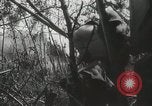 Standbild Vereinigten Staaten Marines Peleliu Palau Inseln, 1944, aus Sekunde 50 historischem Filmmaterial Videoclip 65675022957