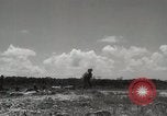 Standbild 5th Marine Division Peleliu Palau Inseln, 1944, aus Sekunde 11 historischem Filmmaterial Videoclip 65675022958