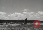 Standbild 5th Marine Division Peleliu Palau Inseln, 1944, aus Sekunde 12 historischem Filmmaterial Videoclip 65675022958