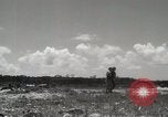 Standbild 5th Marine Division Peleliu Palau Inseln, 1944, aus Sekunde 13 historischem Filmmaterial Videoclip 65675022958