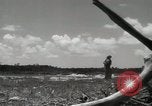 Standbild 5th Marine Division Peleliu Palau Inseln, 1944, aus Sekunde 16 historischem Filmmaterial Videoclip 65675022958