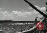 Standbild 5th Marine Division Peleliu Palau Inseln, 1944, aus Sekunde 17 historischem Filmmaterial Videoclip 65675022958