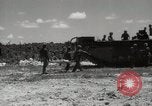 Standbild 5th Marine Division Peleliu Palau Inseln, 1944, aus Sekunde 43 historischem Filmmaterial Videoclip 65675022958