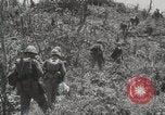 Standbild 5th Marine Division Peleliu Palau Inseln, 1944, aus Sekunde 28 historischem Filmmaterial Videoclip 65675022959