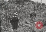 Standbild 5th Marine Division Peleliu Palau Inseln, 1944, aus Sekunde 30 historischem Filmmaterial Videoclip 65675022959