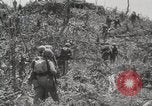 Standbild 5th Marine Division Peleliu Palau Inseln, 1944, aus Sekunde 35 historischem Filmmaterial Videoclip 65675022959