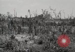 Standbild 5th Marine Division Peleliu Palau Inseln, 1944, aus Sekunde 39 historischem Filmmaterial Videoclip 65675022959