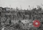 Standbild 5th Marine Division Peleliu Palau Inseln, 1944, aus Sekunde 44 historischem Filmmaterial Videoclip 65675022959