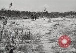 Standbild 5th Marine Division Peleliu Palau Inseln, 1944, aus Sekunde 47 historischem Filmmaterial Videoclip 65675022959