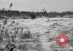 Standbild 5th Marine Division Peleliu Palau Inseln, 1944, aus Sekunde 48 historischem Filmmaterial Videoclip 65675022959