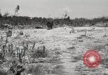 Standbild 5th Marine Division Peleliu Palau Inseln, 1944, aus Sekunde 49 historischem Filmmaterial Videoclip 65675022959