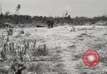 Standbild 5th Marine Division Peleliu Palau Inseln, 1944, aus Sekunde 50 historischem Filmmaterial Videoclip 65675022959