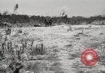 Standbild 5th Marine Division Peleliu Palau Inseln, 1944, aus Sekunde 52 historischem Filmmaterial Videoclip 65675022959