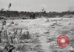 Standbild 5th Marine Division Peleliu Palau Inseln, 1944, aus Sekunde 55 historischem Filmmaterial Videoclip 65675022959