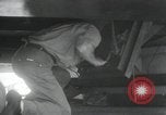 Standbild United States Marine Corps Peleliu Palau Inseln, 1944, aus Sekunde 30 historischem Filmmaterial Videoclip 65675022963