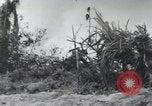 Standbild United States Marine Corps Peleliu Palau Inseln, 1944, aus Sekunde 52 historischem Filmmaterial Videoclip 65675022964