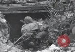 Standbild United States Marine Corps Peleliu Palau Inseln, 1944, aus Sekunde 8 historischem Filmmaterial Videoclip 65675022965