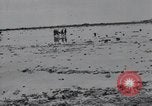 Standbild United States Marine Corps Peleliu Palau Inseln, 1944, aus Sekunde 53 historischem Filmmaterial Videoclip 65675022965