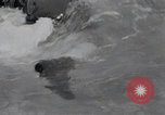 Standbild 81 Army Division Peleliu Palau Inseln, 1944, aus Sekunde 53 historischem Filmmaterial Videoclip 65675022966