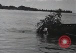 Standbild 81 Army Division Feuern auf Sniper Peleliu Palau Inseln, 1944, aus Sekunde 21 historischem Filmmaterial Videoclip 65675022967