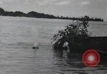 Standbild 81 Army Division Feuern auf Sniper Peleliu Palau Inseln, 1944, aus Sekunde 22 historischem Filmmaterial Videoclip 65675022967