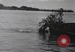 Standbild 81 Army Division Feuern auf Sniper Peleliu Palau Inseln, 1944, aus Sekunde 23 historischem Filmmaterial Videoclip 65675022967