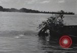 Standbild 81 Army Division Feuern auf Sniper Peleliu Palau Inseln, 1944, aus Sekunde 24 historischem Filmmaterial Videoclip 65675022967