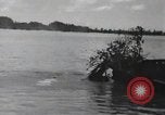 Standbild 81 Army Division Feuern auf Sniper Peleliu Palau Inseln, 1944, aus Sekunde 25 historischem Filmmaterial Videoclip 65675022967