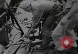 Standbild 81 Army Division Feuern auf Sniper Peleliu Palau Inseln, 1944, aus Sekunde 31 historischem Filmmaterial Videoclip 65675022967