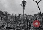 Standbild 81 Army Division Feuern auf Sniper Peleliu Palau Inseln, 1944, aus Sekunde 35 historischem Filmmaterial Videoclip 65675022967