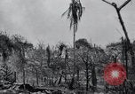 Standbild 81 Army Division Feuern auf Sniper Peleliu Palau Inseln, 1944, aus Sekunde 36 historischem Filmmaterial Videoclip 65675022967