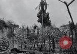 Standbild 81 Army Division Feuern auf Sniper Peleliu Palau Inseln, 1944, aus Sekunde 37 historischem Filmmaterial Videoclip 65675022967