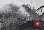 Standbild 81 Army Division Feuern auf Sniper Peleliu Palau Inseln, 1944, aus Sekunde 45 historischem Filmmaterial Videoclip 65675022967