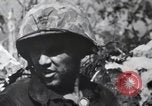 Standbild 81 Army Division Feuern auf Sniper Peleliu Palau Inseln, 1944, aus Sekunde 51 historischem Filmmaterial Videoclip 65675022967