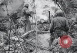 Standbild 81 Army Division Feuern auf Sniper Peleliu Palau Inseln, 1944, aus Sekunde 58 historischem Filmmaterial Videoclip 65675022967