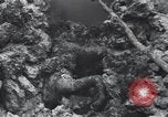 Standbild 81 Army Division Feuern auf Sniper Peleliu Palau Inseln, 1944, aus Sekunde 59 historischem Filmmaterial Videoclip 65675022967