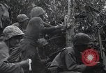 Standbild blutige Nase Ridge Peleliu Palau Inseln, 1944, aus Sekunde 7 historischem Filmmaterial Videoclip 65675022968