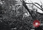 Standbild blutige Nase Ridge Peleliu Palau Inseln, 1944, aus Sekunde 9 historischem Filmmaterial Videoclip 65675022968