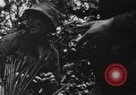 Standbild blutige Nase Ridge Peleliu Palau Inseln, 1944, aus Sekunde 21 historischem Filmmaterial Videoclip 65675022968