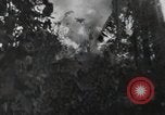Standbild blutige Nase Ridge Peleliu Palau Inseln, 1944, aus Sekunde 26 historischem Filmmaterial Videoclip 65675022968